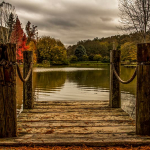 Atatürk Arboretum