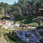Ümraniye Millet Bahçesi