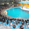 İstanbul Dolphinarium